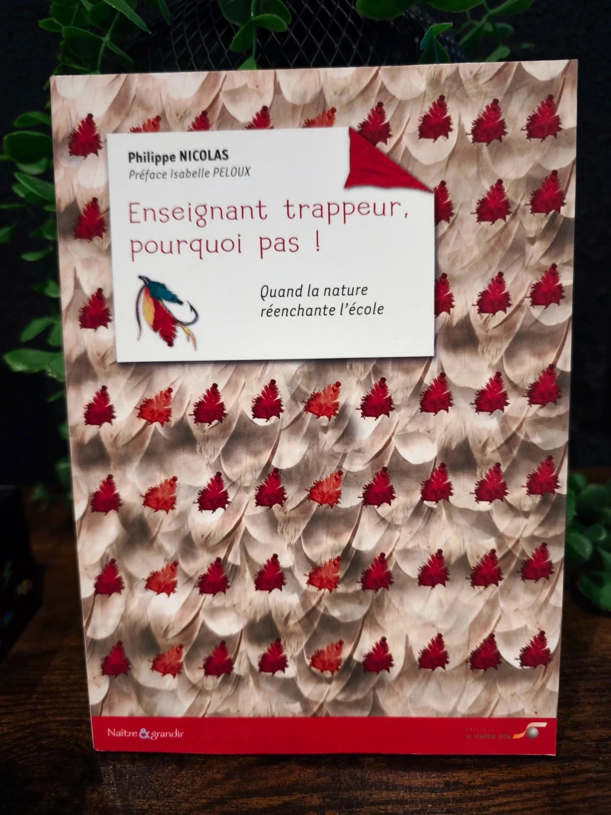 Enseignant trappeur, pourquoi pas !